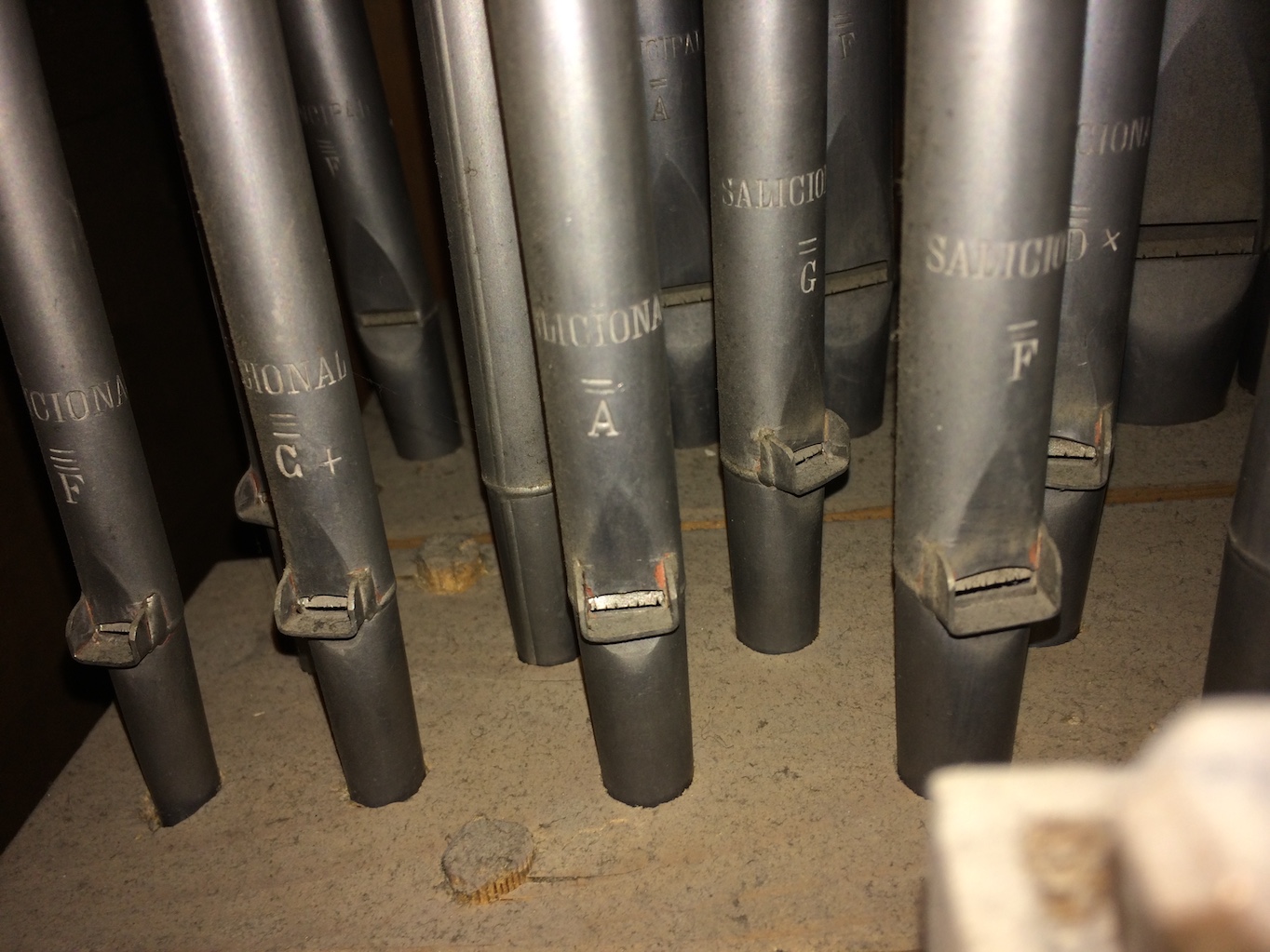 Salicional in typischer Mauracherbauart mit Kastenbart