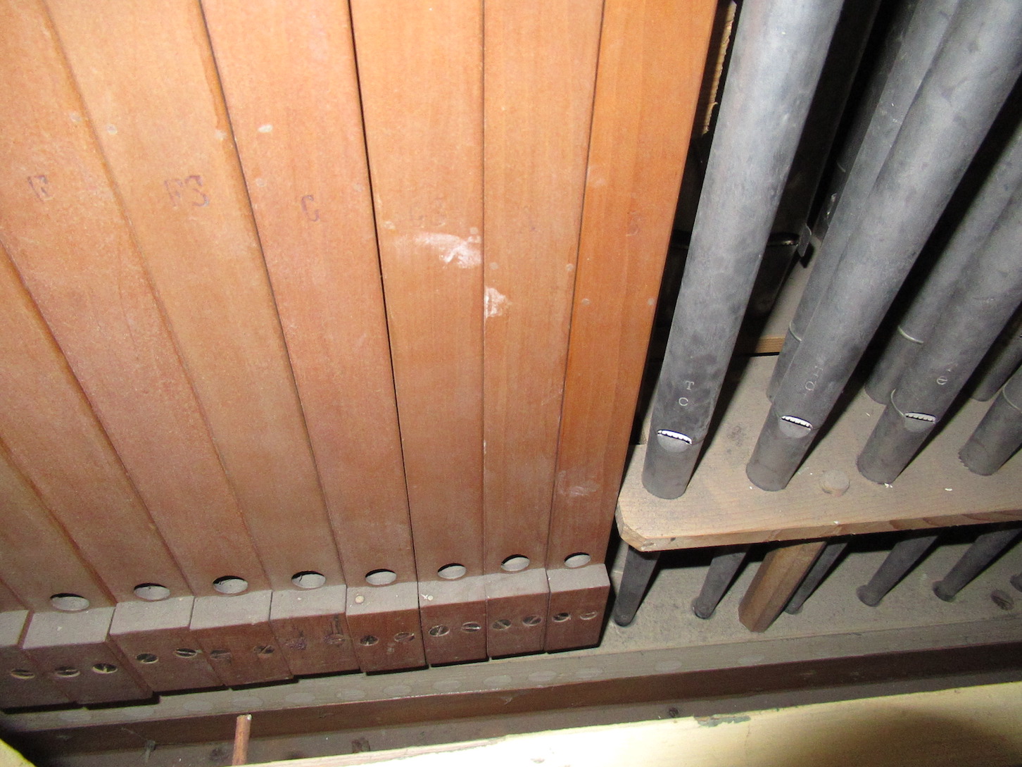 Flöte 4' in Philomelabauart