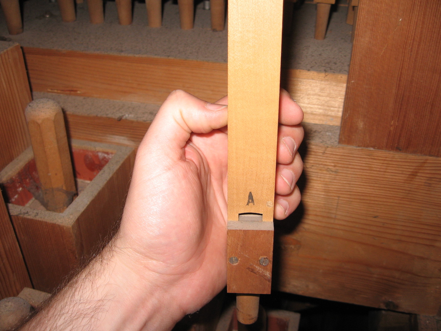 Innenlabierte Hohlflöte 8' im 2. Manual