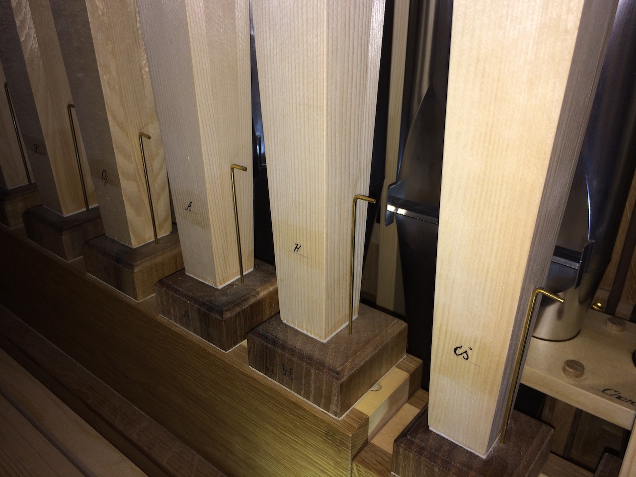 Pedalzunge nach Mauracher